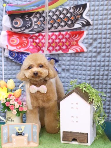 20230520ララちゃん